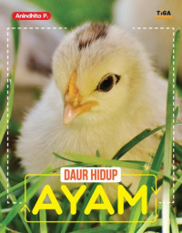 Image of Daur Hidup Ayam