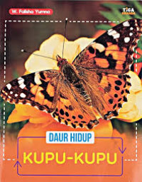 Image of Daur Hidup Kupu-kupu